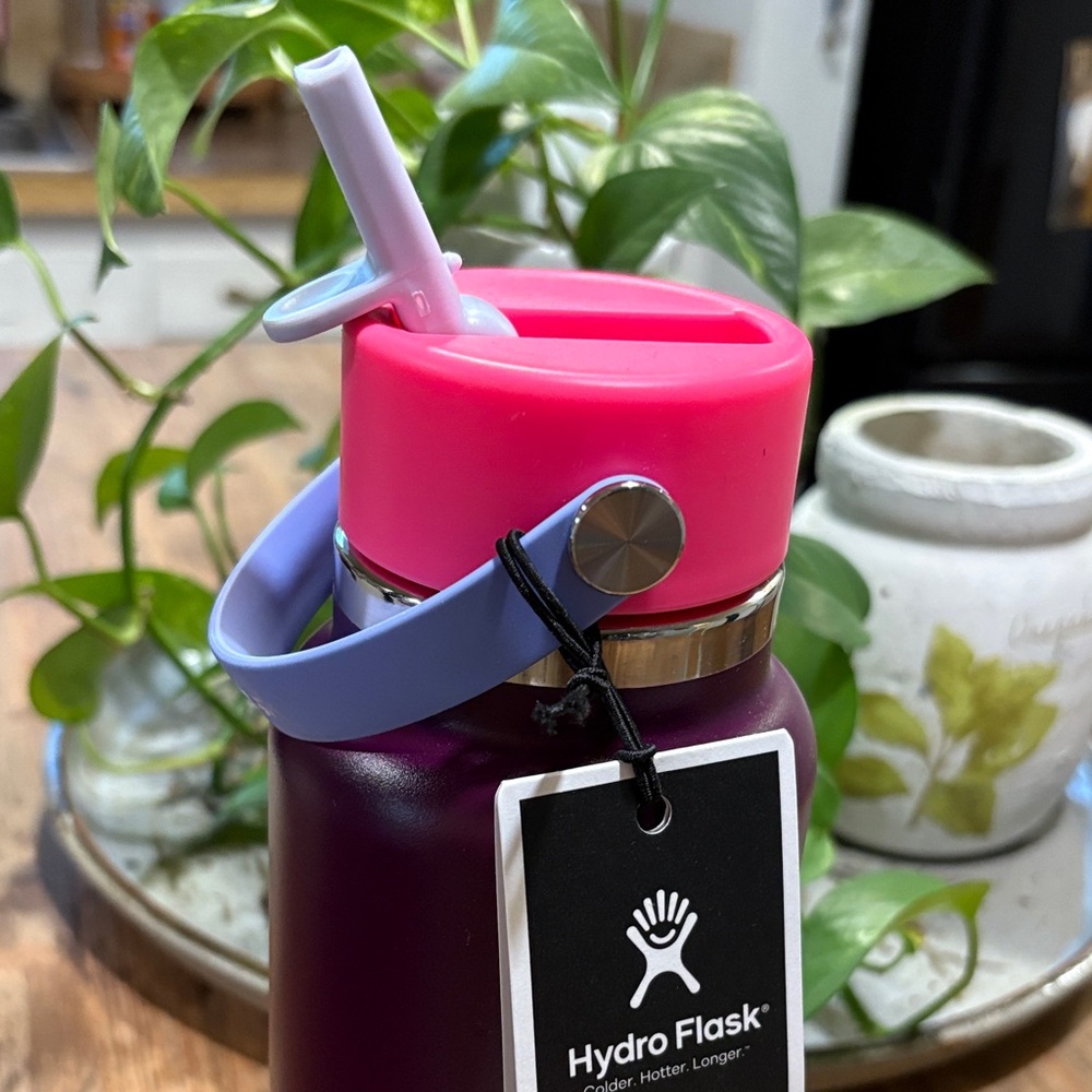 Hydro Flask Plum Bottle with Pink Lid and Handle - Picture 6 of 9